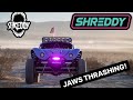 Jaws thrashing at king of the hammers