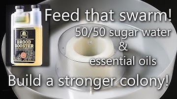 Hive Top Honey Bee Feeder that doesn