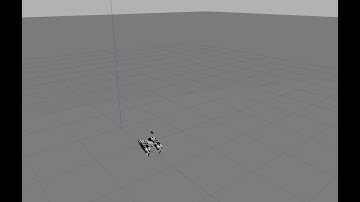 RILtaur ROS simulation