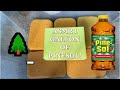 🎇🌲1 Gallon of Pinesol! 300 Sub Special! ASMR Bucket Sponge Squeezing! w/ Block Sponge & Grouts 🌲🎇