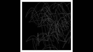 Is there order in chaos #generativeart