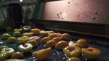 Raynbow 3Way sorting halved peaches in syrup | RAYTEC VISION SpA