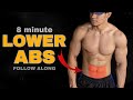 8 MINUTE LOWER ABS WORKOUT | AT HOME ABS WORKOUT