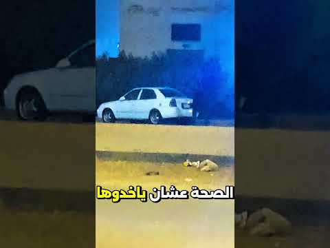 حكاية اخويا الكبير في شارع من 7 شهور