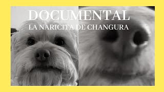 CHANGURA: EL DOCUMENTAL