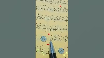 سورة فصلت الأية 17 إلى 20 القارئ سعد الغامدي