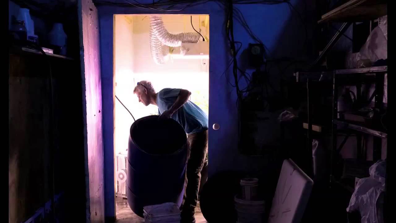 Eugene marijuana grower Clark Tippin