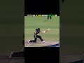 Sanju samson amzaing catch 🔥 #shorts #cricket #viral #shortsfeed
