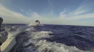 Wreck Hermes Dive Trip With The Rib