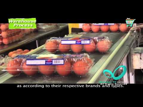 Food Unwrapped Diet Special Youtube Food Unwrapped Diet Special Youtube