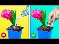 Hidroponía Cómo Simple Cultivar Es Para Principiantes