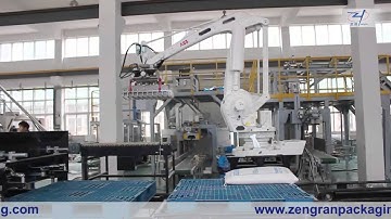 Automatic Packing And Palletizing Line—AnHui ZengRan