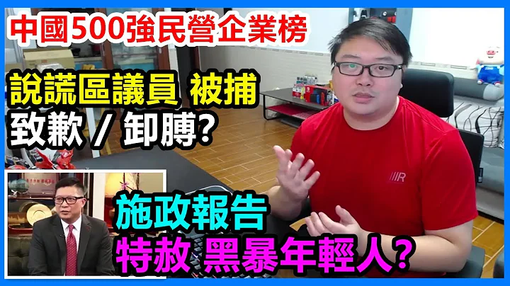 【特赦】黑暴年轻人？中国500强民营企业榜！说谎区议员被捕！致歉 / 卸膊？ - 天天要闻