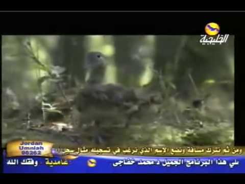 صوت من الجنة ماتيسرمن سورة ق 5 محمد طه الجنيد 