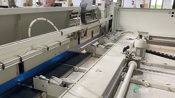 HOU7.596 Gabbiani video