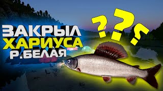 Закрыл ТРОФЕЙНОГО ХАРИУСА, Русская Рыбалка 4, где поймать на Р.Белая?Рабочая точка