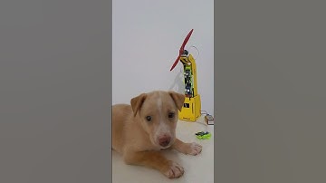 "DIY IR Sensor Table Fan!"  #shortsfeed #short #robotics #electronicsdiy