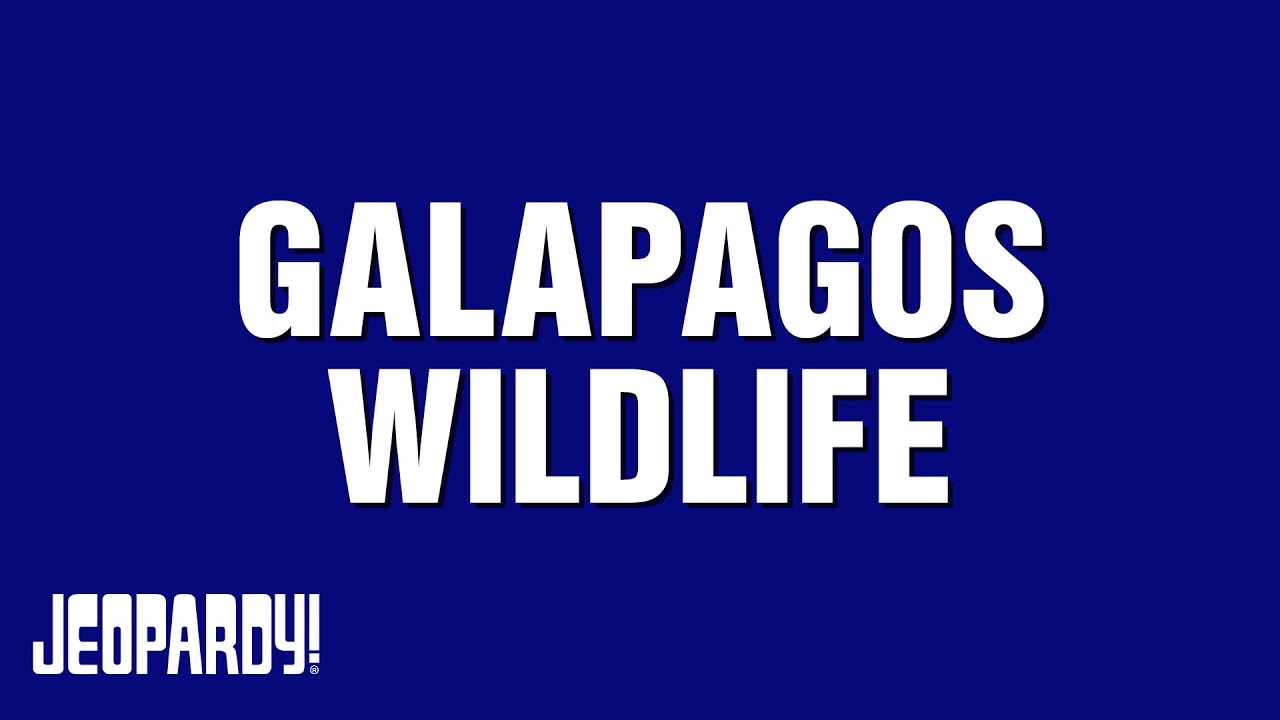 Galapagos - YouTube