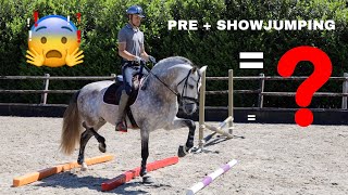 LETS FIND OUT IF MY DRESSAGE STALLION CAN JUMP?