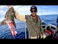 7 DAYS Living At Sea - CRAZY SHARK ATTACKS - Catch And Cook Fresh Fish.