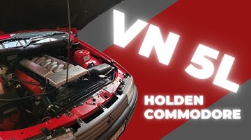 Best Sounding Car on the Planet - Holden VN 5L Commodore