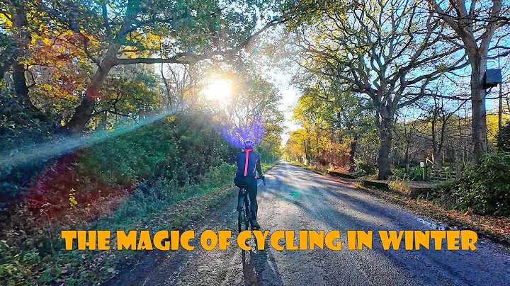 Cold but Worth It: The Magic of Cycling in Winter
