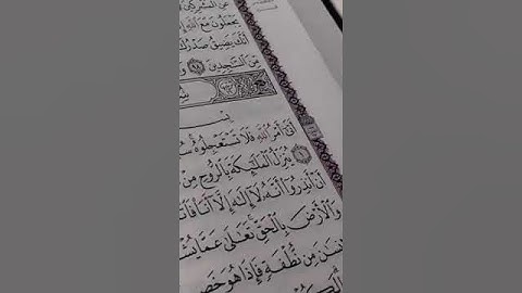 قرآن كريم سورة النحل بصوت القارئ للشيخ محمد اللحيدان