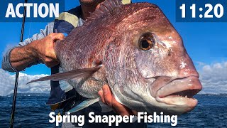 Spring Snapper Fishing