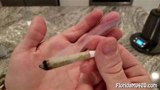 Stardawg 24.6% THC Pre Roll Cone Joint by Trulieve -  Florida Medical Marijuana Strain Reviews