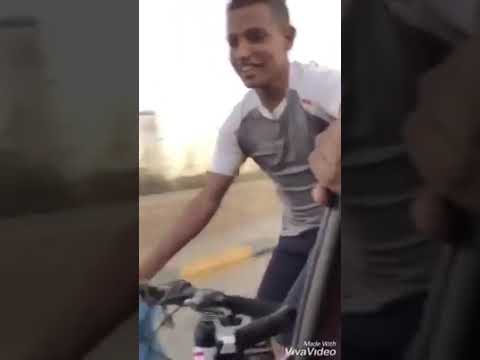 وحوش الاسفلت