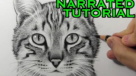 How to Draw a Cat [Narrated Step-by-Step Tutorial]