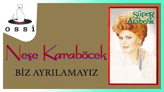 Neşe Karaböcek - Biz Ayrılamayız Resimi