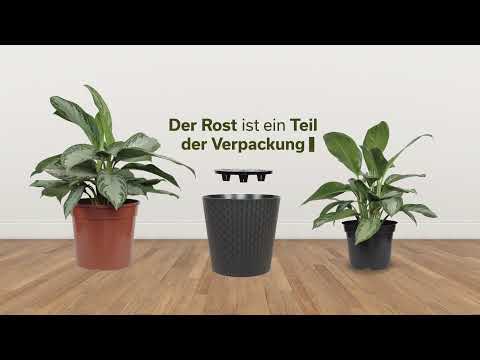 Universeller Blumentopf Max