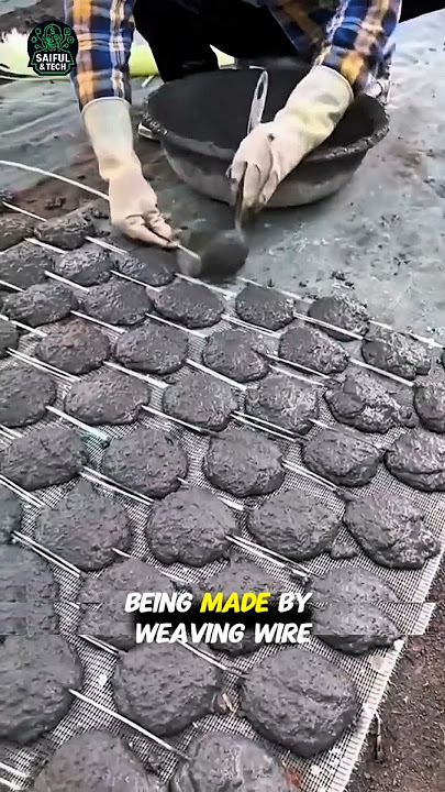 Korean Shellfish Farming Method That Shocked the World! | Hidden Ocean Technique Revealed #viral