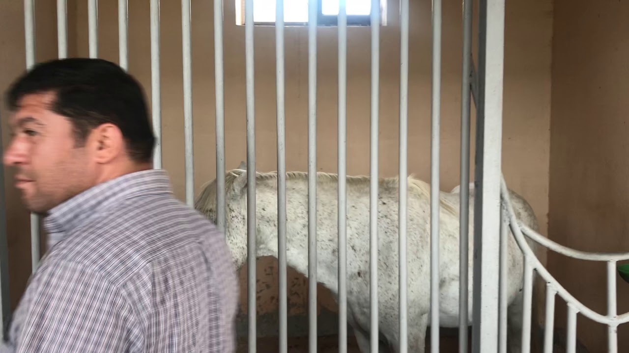 Gence-Baki-Mashtaga seferimiz 3