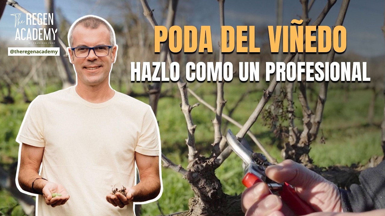 PODA DEL VIÑEDO: HAZLO COMO UN PROFESIONAL