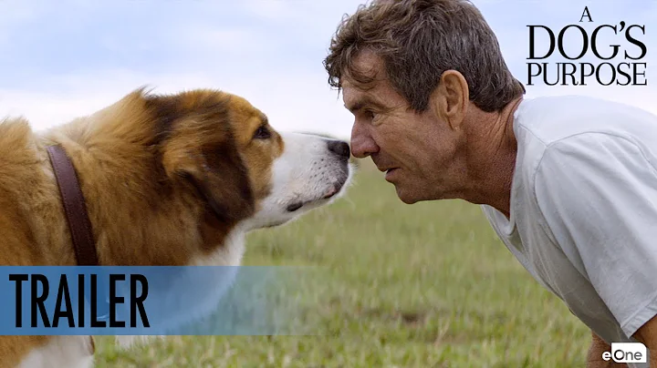 A DOG'S PURPOSE - Trailer - Buy or Rent on Blu-ray, DVD & Digital