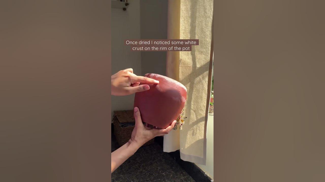 How to clean used terracotta pots terracotta pots plantcare 