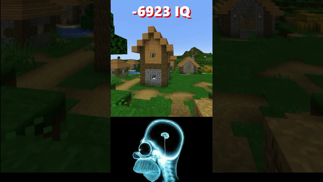 Minecraft 6923 IQ Vs 6969 World S Smallest Violin Shorts