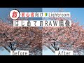 【本当に初心者の人向け】はじめてでもわかるRAW現像！基本のやり方を超カンタンに紹介します。Adobe Lightroomで画像を読み込み、明るさやホワイトバランスを補正、JPEGに書き出します