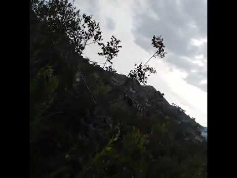 صيد السمن عالدبق جبال الساحل السوري