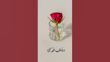 #تلاوة_خاشعة #لا اله إلا الله 🌹❤️🌹❤️🌹❤️