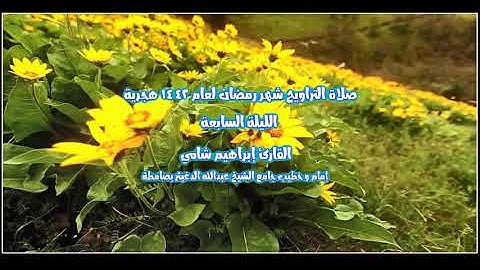 القارئ إبراهيم شامي صلاة التراويح رمضان 1442 هجرية الليلة السابعة