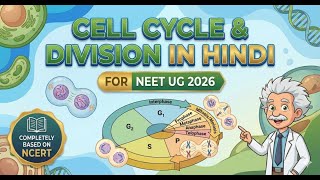 Cell Cycle & Division (Quick Shot) for NEET UG 2026, Animated Revision.
