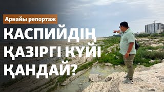 "Жағалау алыстап барады". Каспийдің қазіргі күйі қандай?