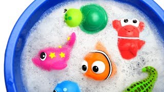 Learn Sea Animal and Wild Zoo Jungle Animals Names Education Video Animal Toys For Kids Learn Sea Animal and Wild Zoo Jungle Animals Names Education Video Animal Toys For Kids