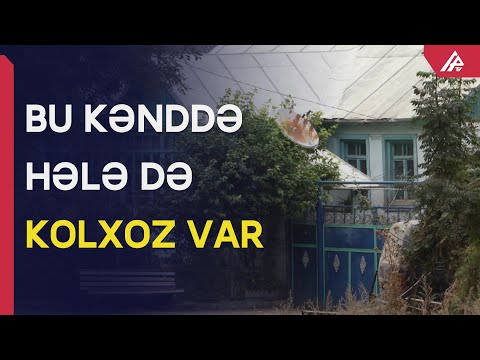 Video: Karboksilik turşuların homoloji seriyası