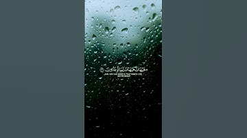 قرآن كريم سورة المؤمنين    #ياسر_الدوسري #قرآن #قران_كريم