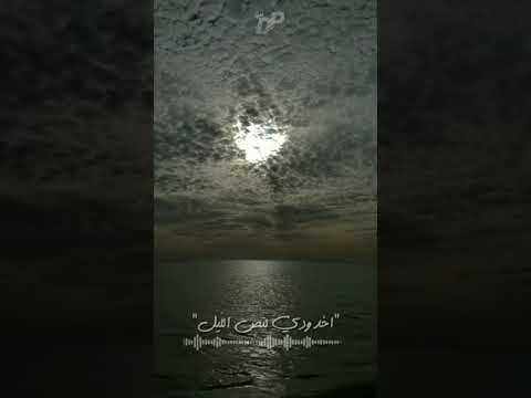 واخبارك مع التفاصيل حالات واتس عمر دياب