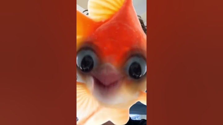 HOLA!